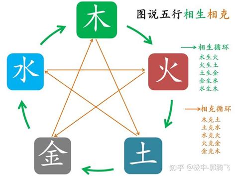 木克土|郭极中：解析五行（木、火、土、金、水）相克的理论。